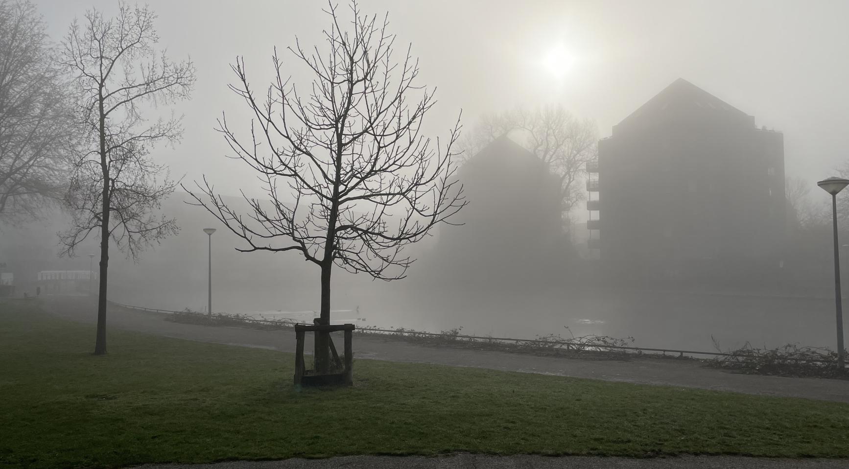 Dichte ochtendnevel in het noordwesten, zonnig in het oosten en zuiden