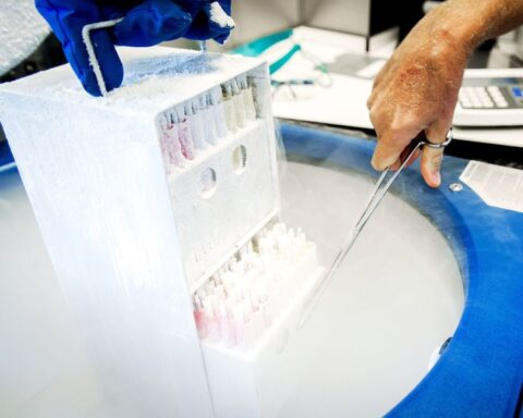 Donororganisaties vragen om breed onderzoek naar misstanden bij vruchtbaarheidsklinieken