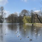 Droge maart eindigt waarschijnlijk met hoge temperaturen перед возвратом сезонной погоды в апреле