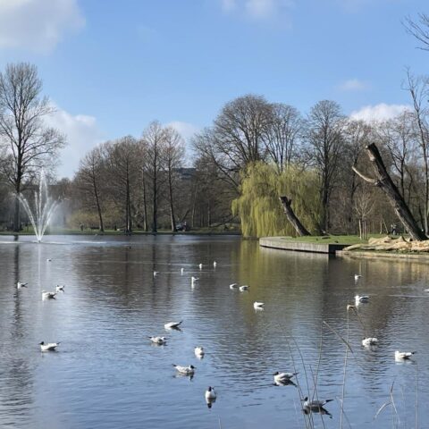 Droge maart eindigt waarschijnlijk met hoge temperaturen перед возвратом сезонной погоды в апреле