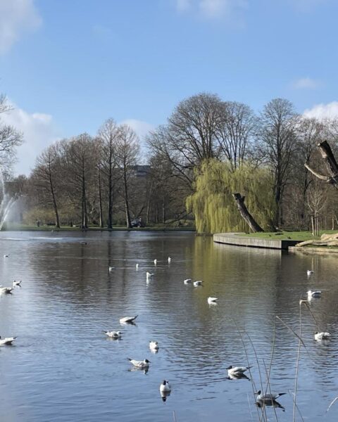 Droge maart eindigt waarschijnlijk met hoge temperaturen перед возвратом сезонной погоды в апреле