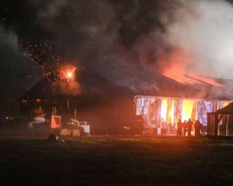 Duizend geiten omgekomen bij grote stalbrand in Epe