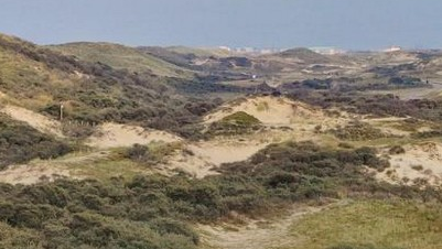 Erisman: stikstofcrisis in Nederland veroorzaakt maatschappelijke schade van ten minste € 50 miljard