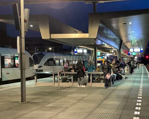 Groningen moet 100.000 euro boete betalen vanwege onveilige vliegroute voor vleermuizen