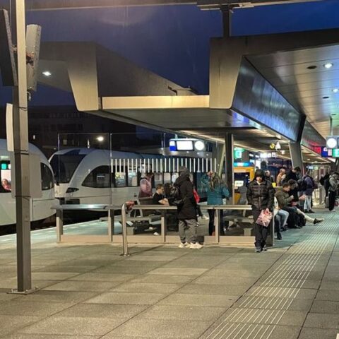 Groningen moet 100.000 euro boete betalen vanwege onveilige vliegroute voor vleermuizen