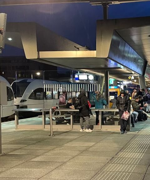 Groningen moet 100.000 euro boete betalen vanwege onveilige vliegroute voor vleermuizen