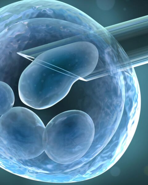 Leiderdorp kliniek voor massadonoren gebruikte ook spermavon oude donors en misleidde inspectie