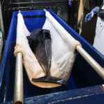 Levende bruinvis met verwonding aangespoeld op Ameland