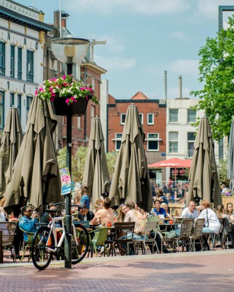 Milde maart brengt vroege lente, koude nachten en allergiewaarschuwingen