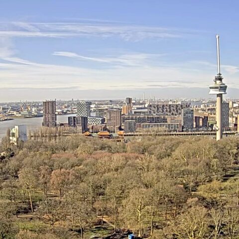 Milde start van maart met temperaturen tot 18°C en voornamelijk heldere luchten in Nederland