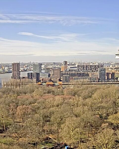 Milde start van maart met temperaturen tot 18°C en voornamelijk heldere luchten in Nederland