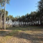 Na vijf jaar is de grootste drugsdump van Europa in Brabant bijna opgeruimd