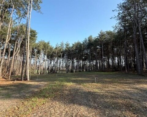 Na vijf jaar is de grootste drugsdump van Europa in Brabant bijna opgeruimd