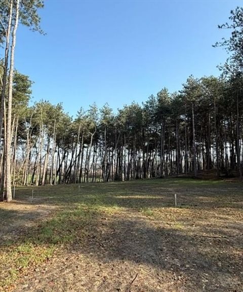 Na vijf jaar is de grootste drugsdump van Europa in Brabant bijna opgeruimd