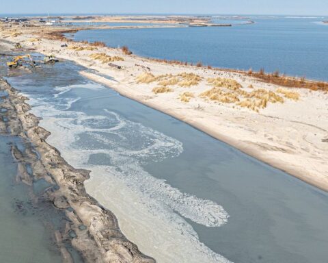 Natuurmonumenten voltooit aanleg van brede stranden bij Marker Wadden