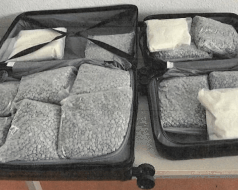 Nederland in Europese top 3 voor ketaminegebruik, restanten in rioolwater stijgen met 40 procent