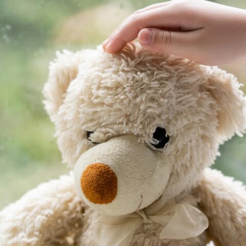 Nederlandse experts waarschuwen dat verouderde gegevens de omvang van huiselijk geweld tegen kinderen verbergen