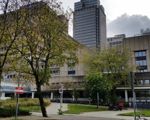 Nederlandse overheid werkt aan doctoraatsmogelijkheden voor hogescholen