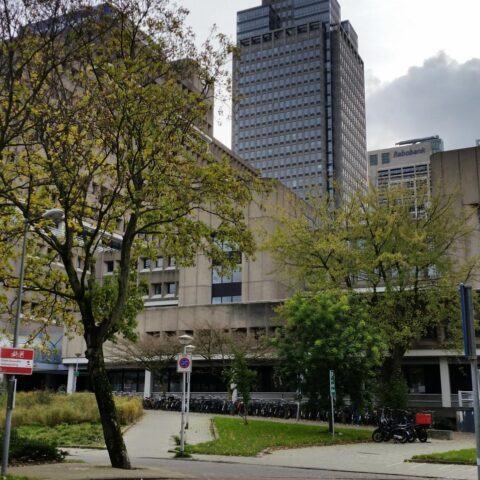 Nederlandse overheid werkt aan doctoraatsmogelijkheden voor hogescholen