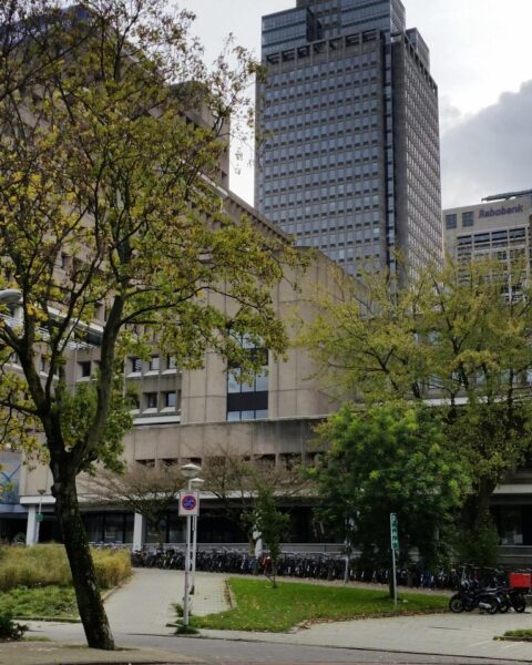 Nederlandse overheid werkt aan doctoraatsmogelijkheden voor hogescholen