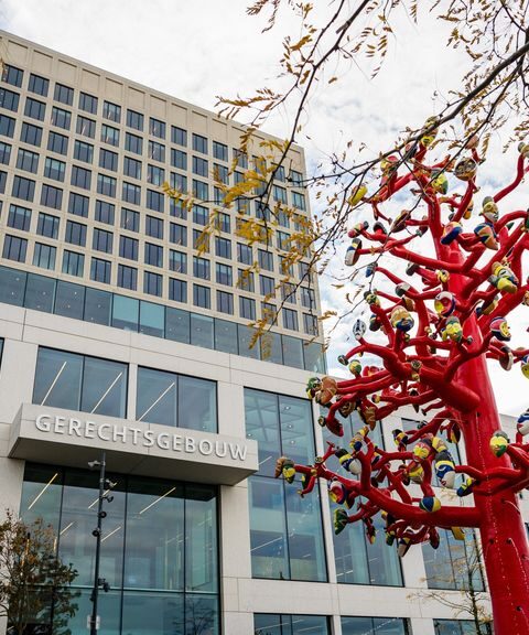 OM eist acht jaar cel en tbs voor 30-jarige man uit Oosterhout wegens seksueel misbruik van minderjarigen