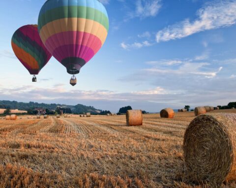 Onderzoek afgesloten: piloot van luchtballon niet aansprakelijk voor dodelijke crash