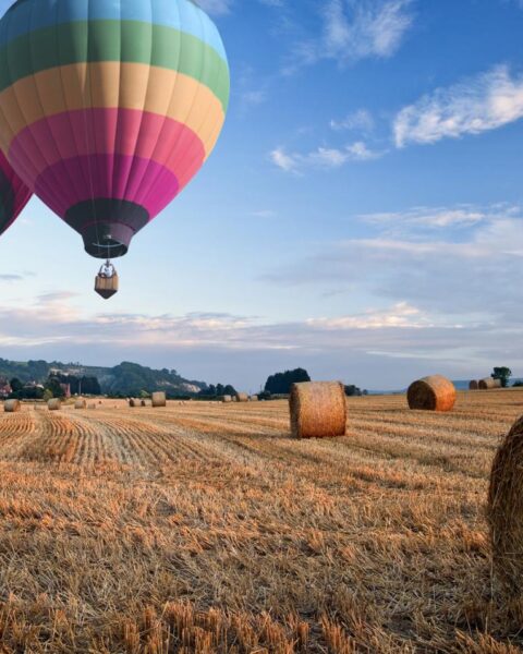 Onderzoek afgesloten: piloot van luchtballon niet aansprakelijk voor dodelijke crash