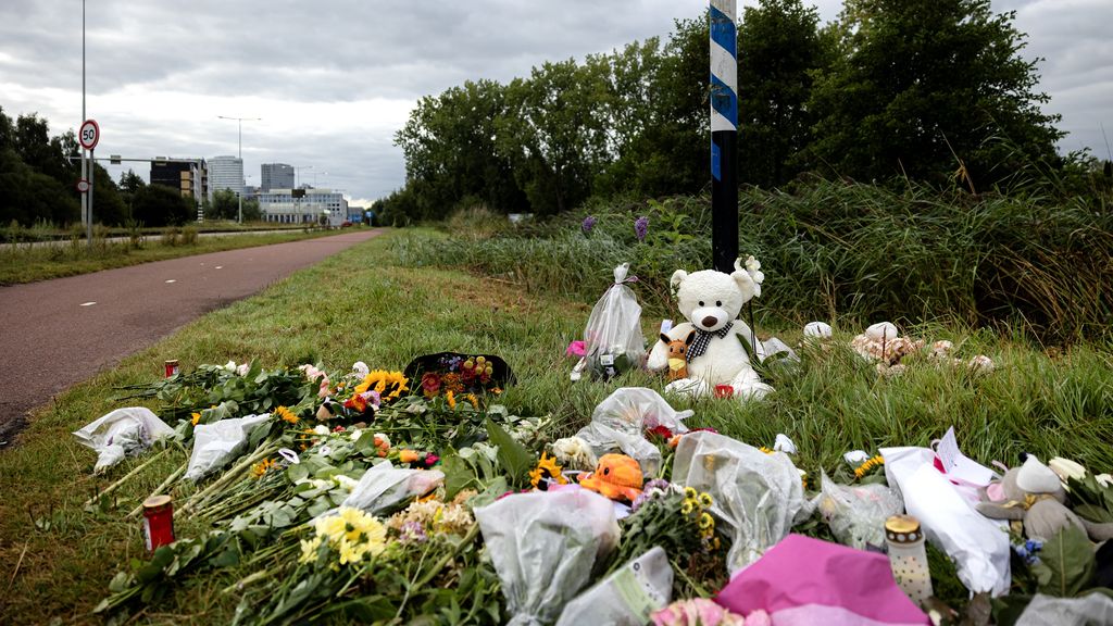 Ongeveer 1700 politiemedewerkers bekeken dossier over Lisa: 'onacceptabel'