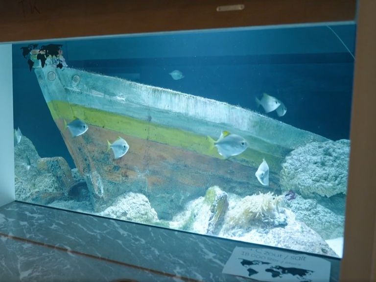 Oudste aquarium ter wereld in Artis weer geopend na vijf jaar renovatie