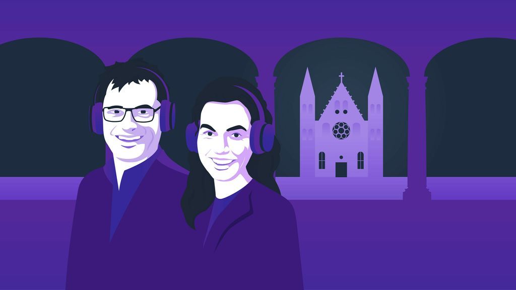 Podcast De Stemming: flitspalen en gereedschap in de discussie over tulpen