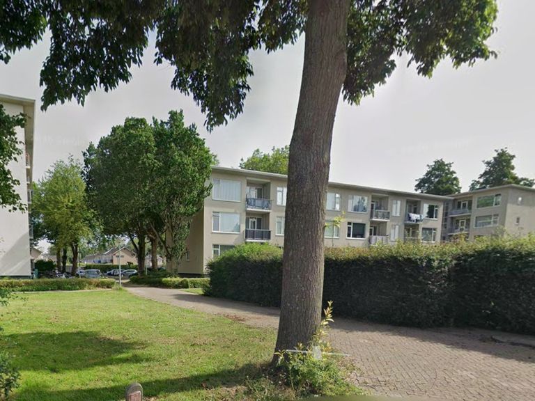 Politie arresteert 14-jarige jongen voor meerdere aanrandingen van hardlopende vrouwen in Dordrecht