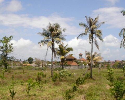 Politie identificeert twee Braziliaanse verdachten in fatale steekpartij van Nederlander op Bali