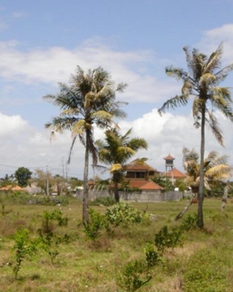 Politie identificeert twee Braziliaanse verdachten in fatale steekpartij van Nederlander op Bali