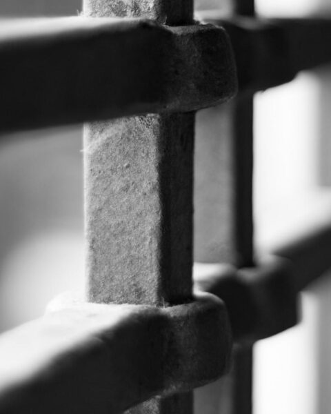 Politie vangt 3.223 kilo cocaïne in Brabant en Papendrecht, acht arrestaties