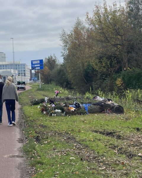 Politieleiding onder vuur om mogelijk wangedrag in zaak moord op Lisa