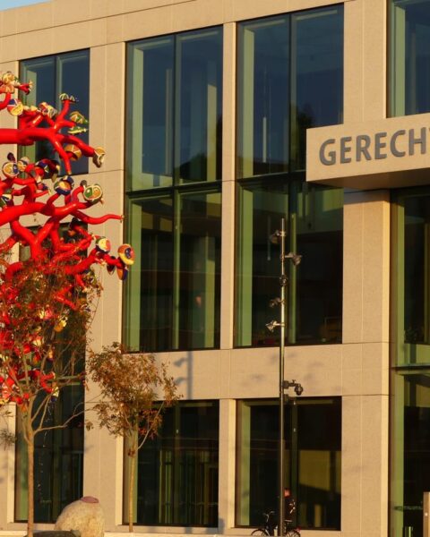 Psychotische episode waarschijnlijk bij man die zijn kinderen in Moergestel probeerde te doden