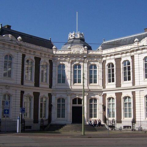 Raad van State steunt verbod op terrorismeglorificatie en vraagt om duidelijke waarborgen