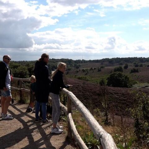 Slagbomen moeten drukte op de Posbank verminderen door bezoekers te reguleren
