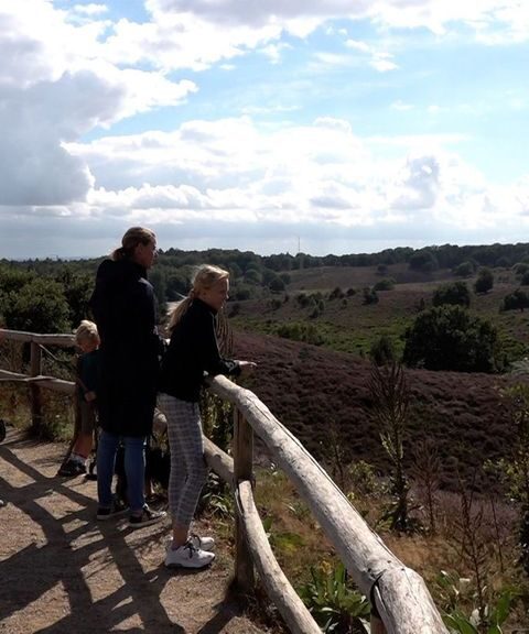 Slagbomen moeten drukte op de Posbank verminderen door bezoekers te reguleren