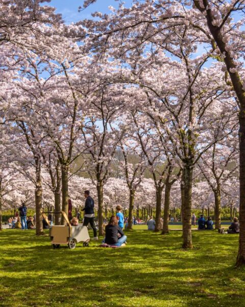 Sociaal-economische raad roept op tot duidelijke, langetermijn duurzaamheidsstrategie