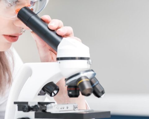 Steeds meer vrouwelijke uitvinders in Nederland, maar weinig starten een technologiebedrijf