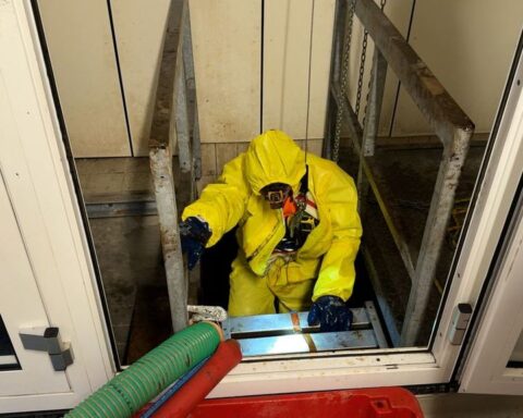 Utrecht kapt meer dan honderd bomen uit voorzorg voor drinkwaterreservoir