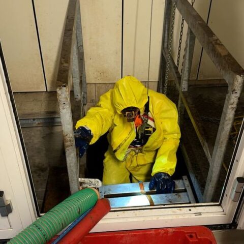 Utrecht kapt meer dan honderd bomen uit voorzorg voor drinkwaterreservoir