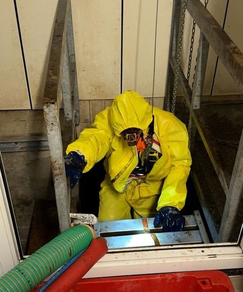 Utrecht kapt meer dan honderd bomen uit voorzorg voor drinkwaterreservoir