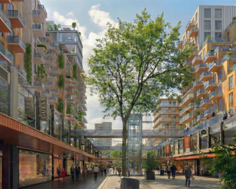 VVD stelt herontwikkeling Lijnbaan voor om veiligheid en sfeer te verbeteren