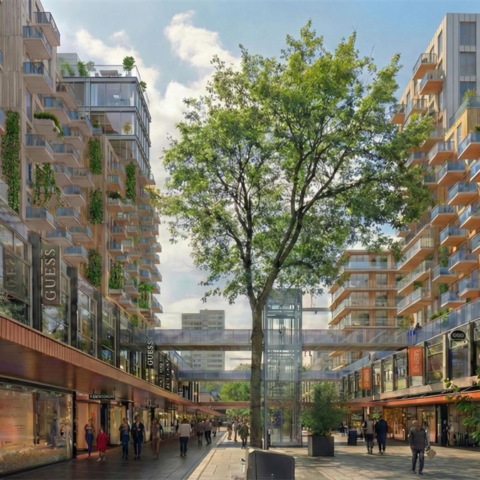 VVD stelt herontwikkeling Lijnbaan voor om veiligheid en sfeer te verbeteren