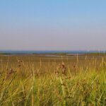 Zeeland stelt strikte voorwaarden voor nieuwe kerncentrales, niet in natuurgebieden