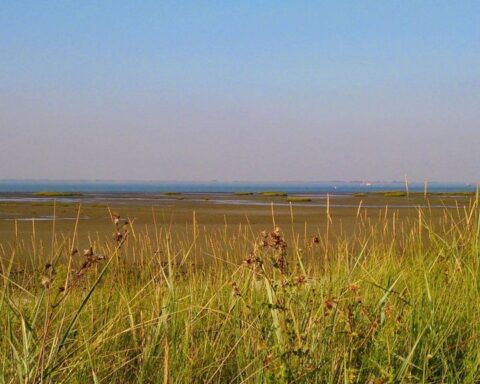 Zeeland stelt strikte voorwaarden voor nieuwe kerncentrales, niet in natuurgebieden