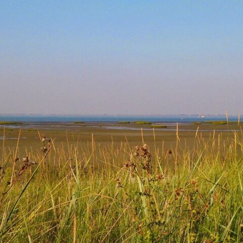 Zeeland stelt strikte voorwaarden voor nieuwe kerncentrales, niet in natuurgebieden