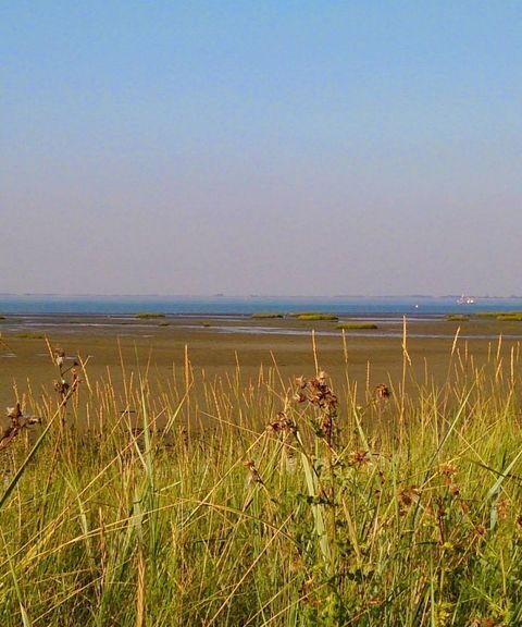 Zeeland stelt strikte voorwaarden voor nieuwe kerncentrales, niet in natuurgebieden
